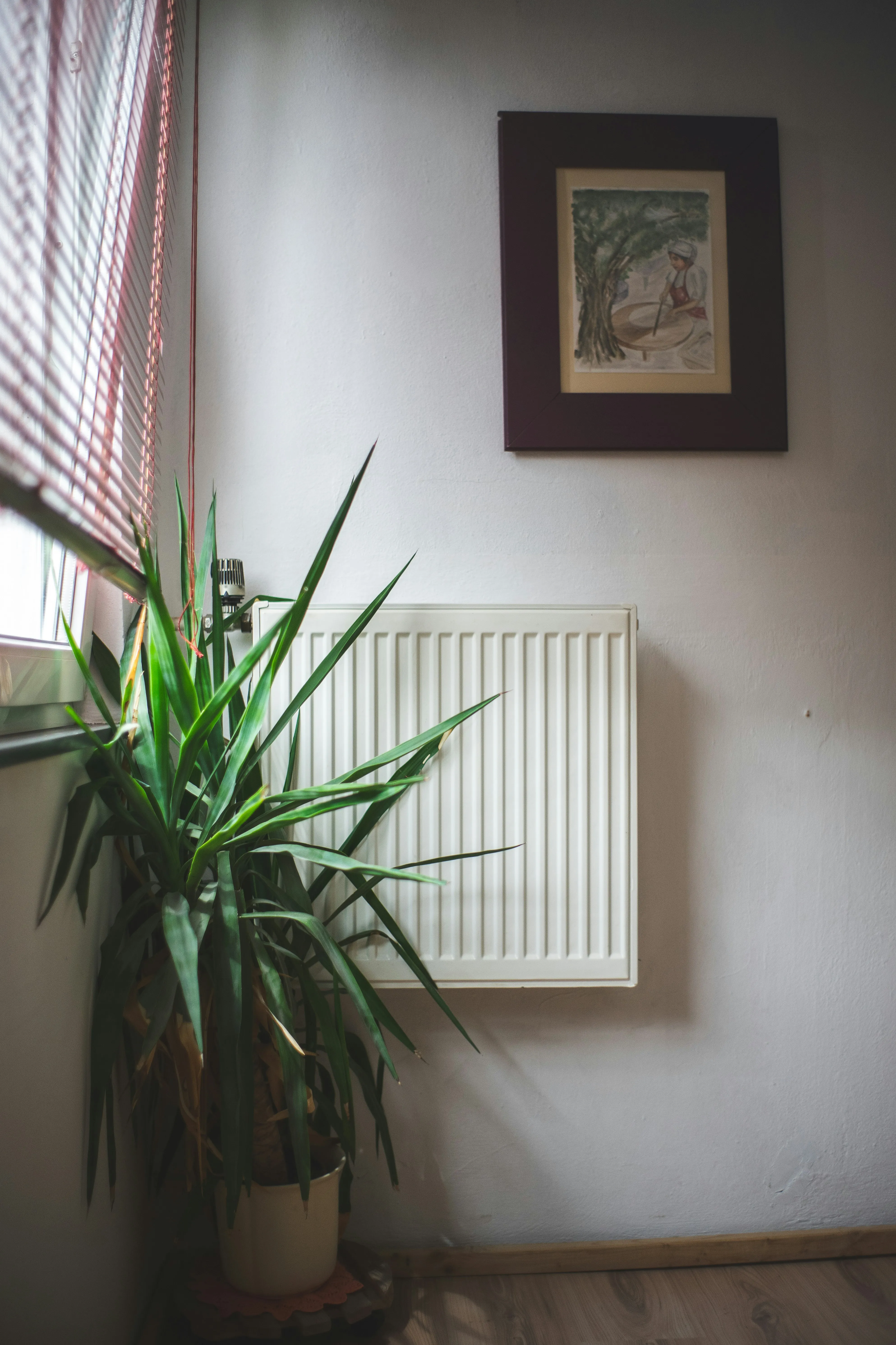 UK panel radiator under a window — sizing radiators correctly is critical to heat-pump performance